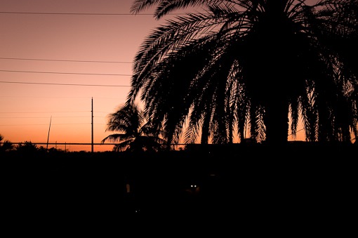 Key West Sunset