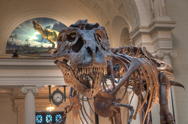 DSC_7815_HDR DSC_7815_HDR