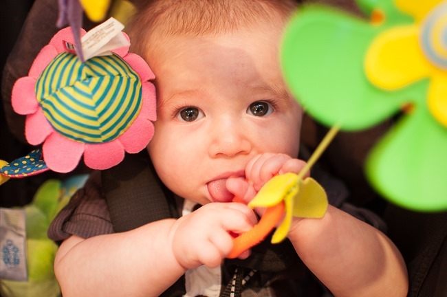 DSC_7358-Edit DSC_7358-Edit