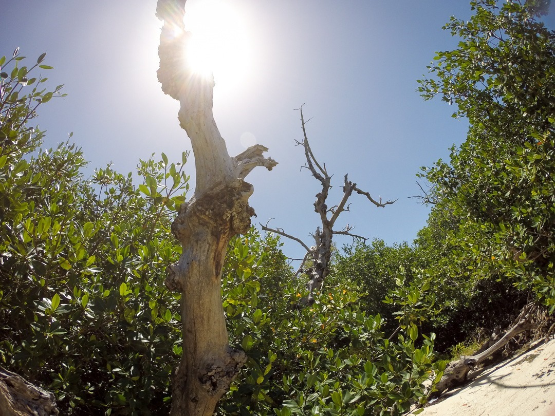 DCIM\100GOPRO DCIM\100GOPRO