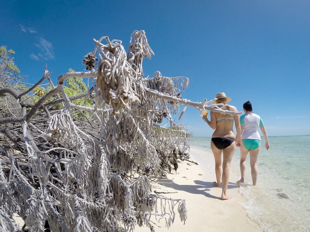 DCIM\100GOPRO DCIM\100GOPRO