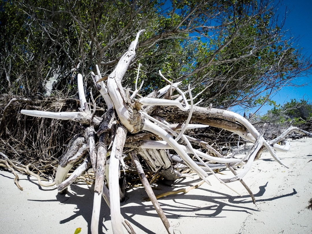 DCIM\100GOPRO DCIM\100GOPRO