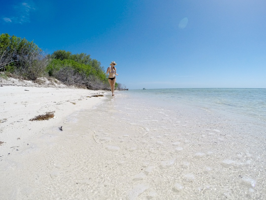 DCIM\100GOPRO DCIM\100GOPRO