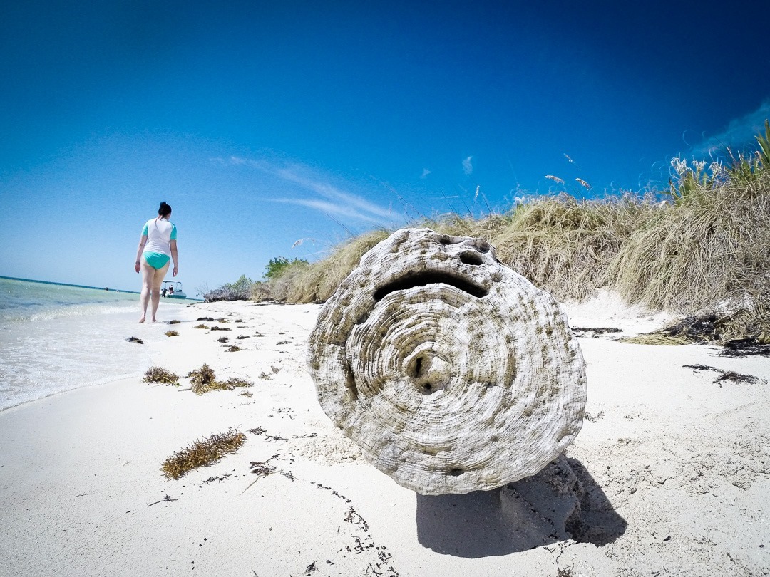 DCIM\100GOPRO DCIM\100GOPRO