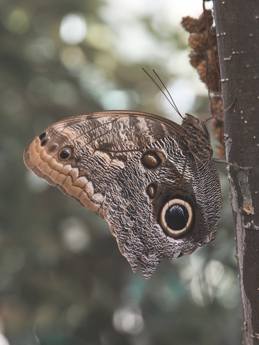 DSC_1162-Pano DSC_1162-Pano